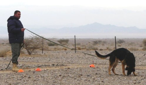 dog and handler on long leash