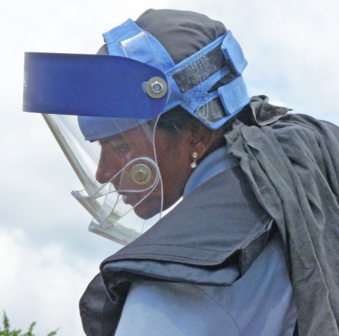 AVS mask visor